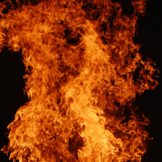 Tasse 2 Couleurs Green Love