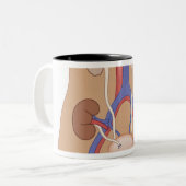 Tasse 2 Couleurs Greffe de rein (Devant gauche)