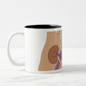 Tasse 2 Couleurs Greffe de rein (Gauche)