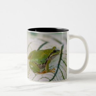 Tasse 2 Couleurs Grenouille des arbres du Pacifique sur les fleurs
