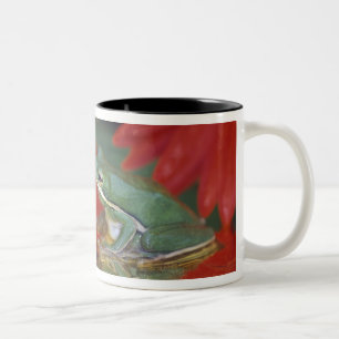 Tasse 2 Couleurs Grenouille et reflets parmi les fleurs. Crédit :