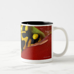 Tasse 2 Couleurs grenouille Jaune-réunie de poison
