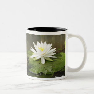 Tasse 2 Couleurs Grenouille mugissante dans l'étang de lis