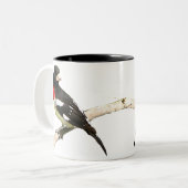 Tasse 2 Couleurs Gros-bec de Rose-breasted (Devant gauche)