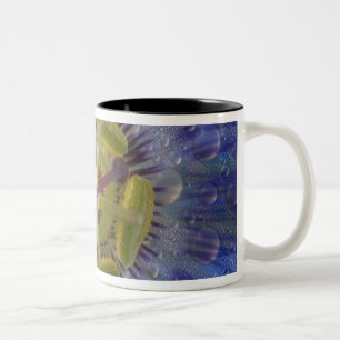 Tasse 2 Couleurs Gros plan de fleur de la passion couverte de rosée
