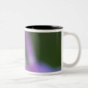 Tasse 2 Couleurs Gros plan de la fleur de l'Ancolie du Colorado.