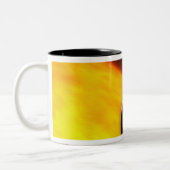 Tasse 2 Couleurs Gros plan d'une planète extrasolaire (Gauche)