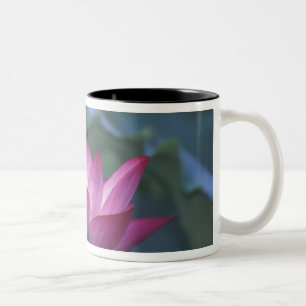 Tasse 2 Couleurs Gros plan sur une fleur de lotus rouge et des feui