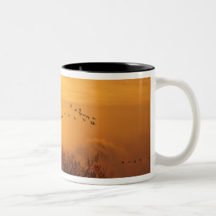 Tasse 2 Couleurs Grues de Sandhill silhouettées contre le soleil l