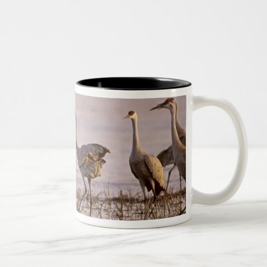 Tasse 2 Couleurs Grues du Canada Grus canadensis) Platte (Droit)