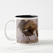 Tasse 2 Couleurs Grues du Canada Grus canadensis) Platte (Gauche)