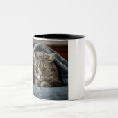 Tasse 2 Couleurs Grumpy Cat Coffee Mug: A Purrfectly Grumpy Morning (Devant droit)