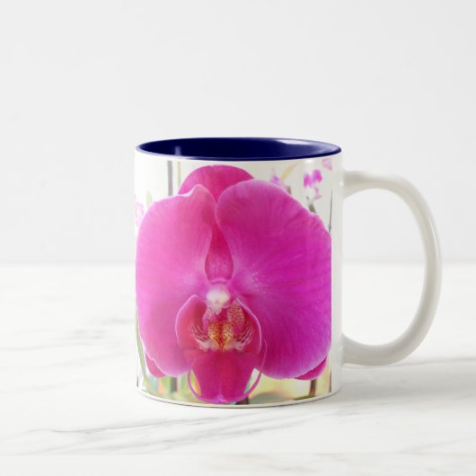 Tasse 2 Couleurs Guda (Droit)