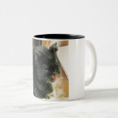 Tasse 2 Couleurs Hamster noir (Devant droit)