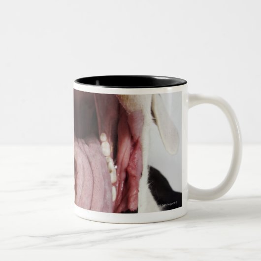 Tasse 2 Couleurs Harlequin great dane avec la bouche ouverte, plan (Droit)