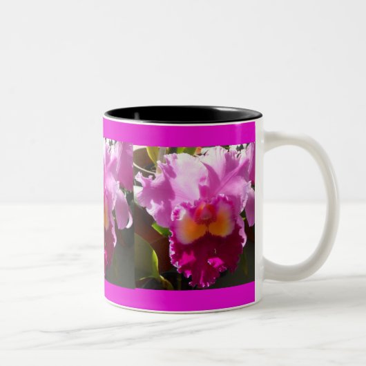 Tasse 2 Couleurs Harlinde (Droit)
