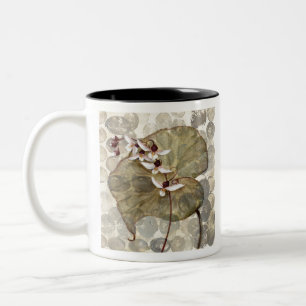 Tasse 2 Couleurs HAZ24 Amazonie 2.tif