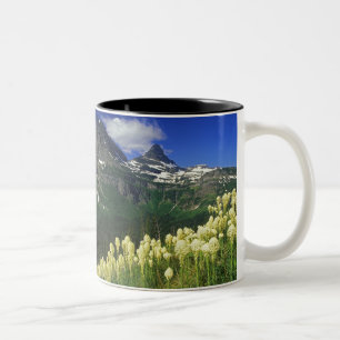 Tasse 2 Couleurs Herbe d'ours à Logan Pass dans le parc national de