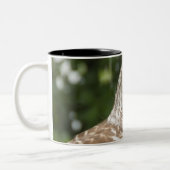 Tasse 2 Couleurs Hibou barré (Gauche)