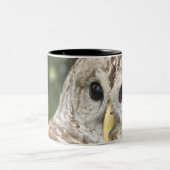 Tasse 2 Couleurs Hibou barré (Centre)