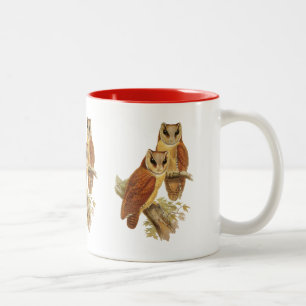 Tasse 2 Couleurs Hibou oriental de baie