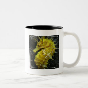Tasse 2 Couleurs Hippocampe jaune Guttulatus de l'hippocampe