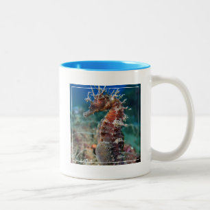 Tasse 2 Couleurs Hippocampe Ramulosus de l'hippocampe