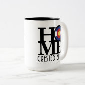 Tasse 2 Couleurs HOME Crested Butte 15 oz (Devant droit)