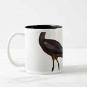 Tasse 2 Couleurs Ibises, de "description de l'Eypte", 1817 (Gauche)