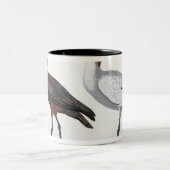 Tasse 2 Couleurs Ibises, de "description de l'Eypte", 1817 (Centre)