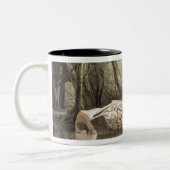 Tasse 2 Couleurs Idole maya cassé chez Copan, Guatemala (Gauche)