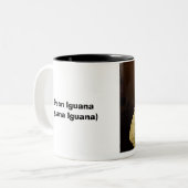 Tasse 2 Couleurs Iguane vert (iguane d'iguane) (Devant gauche)