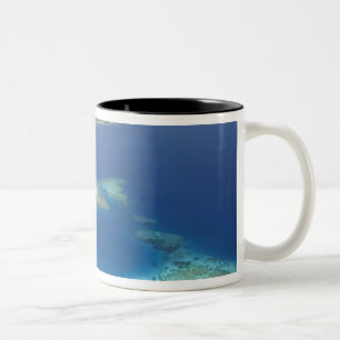 Tasse 2 Couleurs Île de Matamanoa et récif corallien, île de Mamanu