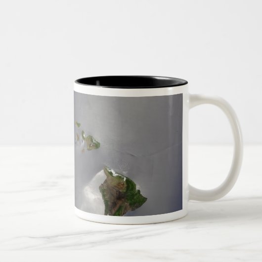 Tasse 2 Couleurs Iles hawaïennes (Droit)