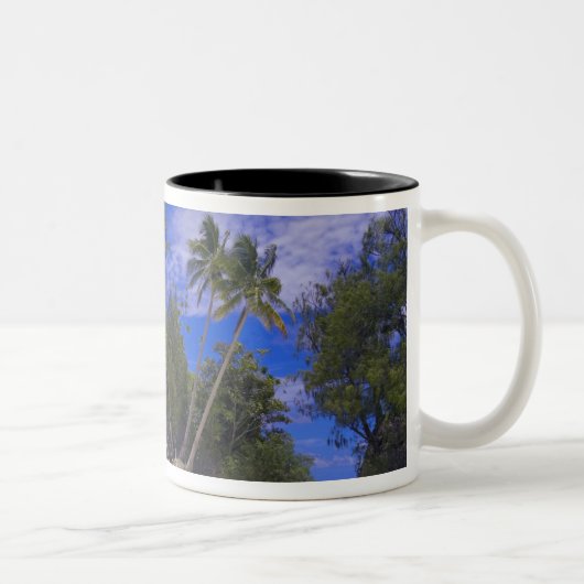 Tasse 2 Couleurs Îles Rocheuses Palaos (Droit)