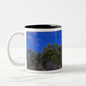 Tasse 2 Couleurs Îles Rocheuses Palaos (Gauche)