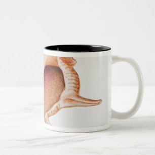 Tasse 2 Couleurs Illustration de coquille de Murex