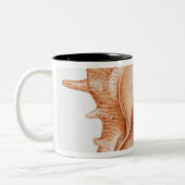Tasse 2 Couleurs Illustration de coquille de Murex (Gauche)
