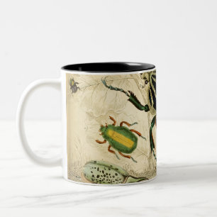 Tasse 2 Couleurs Illustration des coléoptères vintages