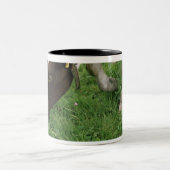 Tasse 2 Couleurs ima28991 (Centre)
