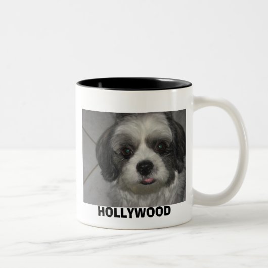 TASSE 2 COULEURS IMG_0157, HOLLYWOOD (Droit)