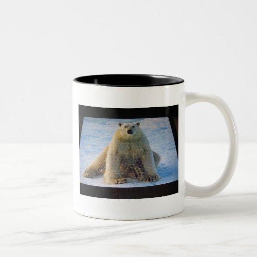 TASSE 2 COULEURS IMG_0907 (Droit)