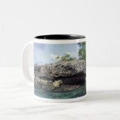 Tasse 2 Couleurs Indonésie. Formations rocheuses le long du rivage (Devant gauche)