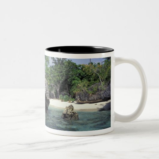 Tasse 2 Couleurs Indonésie. Formations rocheuses le long du rivage (Droit)