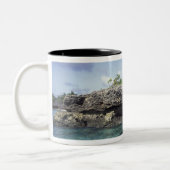 Tasse 2 Couleurs Indonésie. Formations rocheuses le long du rivage (Gauche)