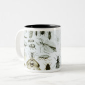 Tasse 2 Couleurs Insectes d'entomologie (Devant gauche)