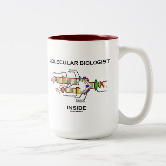Tasse 2 Couleurs Inside de biologiste moléculaire (Droit)