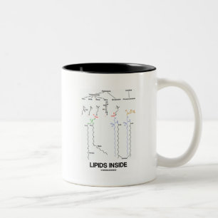 Tasse 2 Couleurs Intérieur de lipides (molécules chimiques)