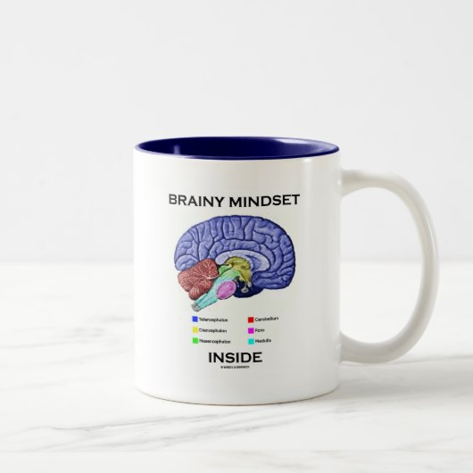 Tasse 2 Couleurs Intérieur intelligent de mentalité (cerveau (Droit)