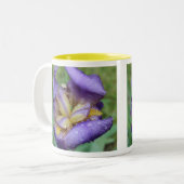 Tasse 2 Couleurs Iris Violet (Iris Germanica) (Devant gauche)